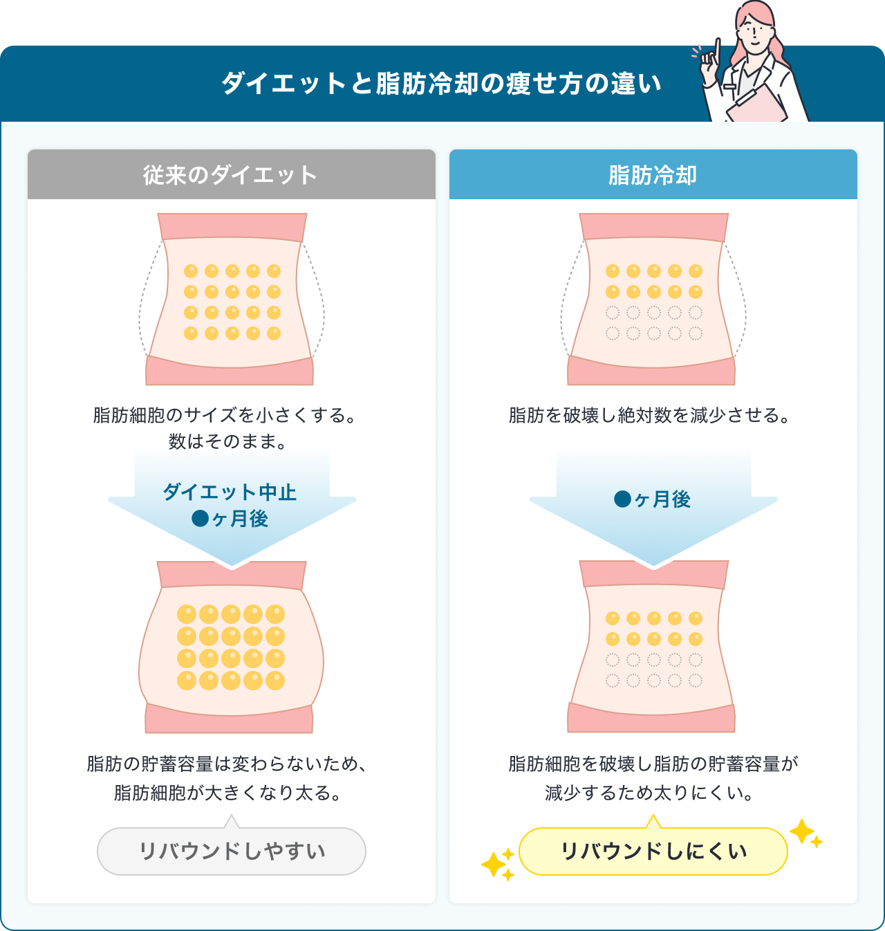 ダイエットと脂肪冷却の痩せ方の違い